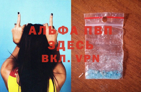 прущие грибы Куйбышев