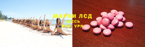 прущие грибы Куйбышев