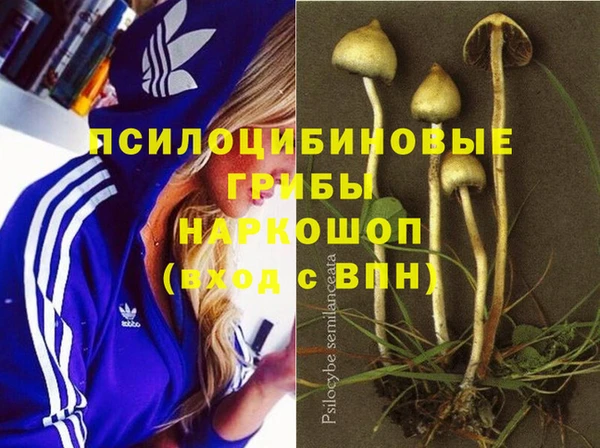 mix Киров