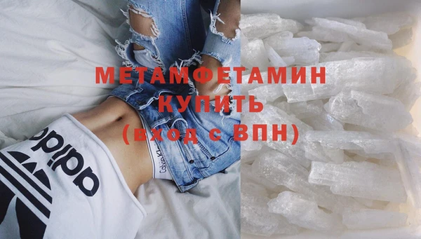 прущие грибы Куйбышев