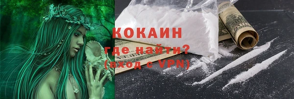 прущие грибы Куйбышев
