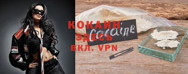 прущие грибы Куйбышев