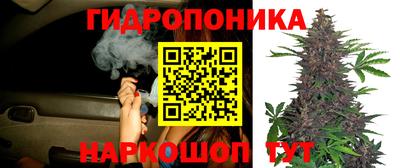 синтетический гашиш Заводоуковск