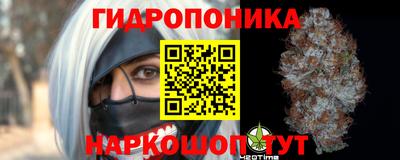 прущие грибы Заволжье