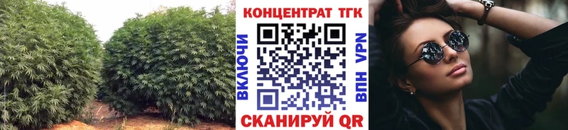 ТГК концентрат  Новороссийск 