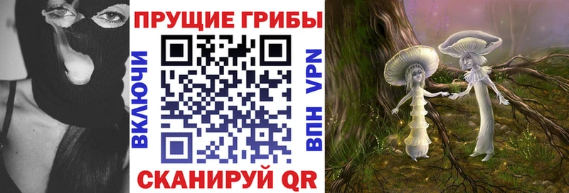 Псилоцибиновые грибы мицелий  Новороссийск 