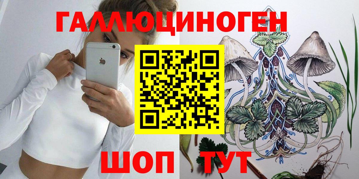 Новороссийск  Псилоцибиновые грибы Cubensis  Псилоцибиновые грибы MAGIC MUSHROOMS  продажа наркотиков  Вход с VPN 